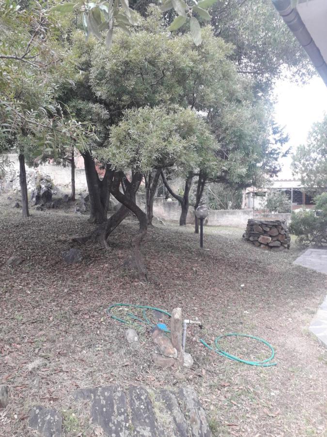 B&B Nuraghes Olbia Exterior foto